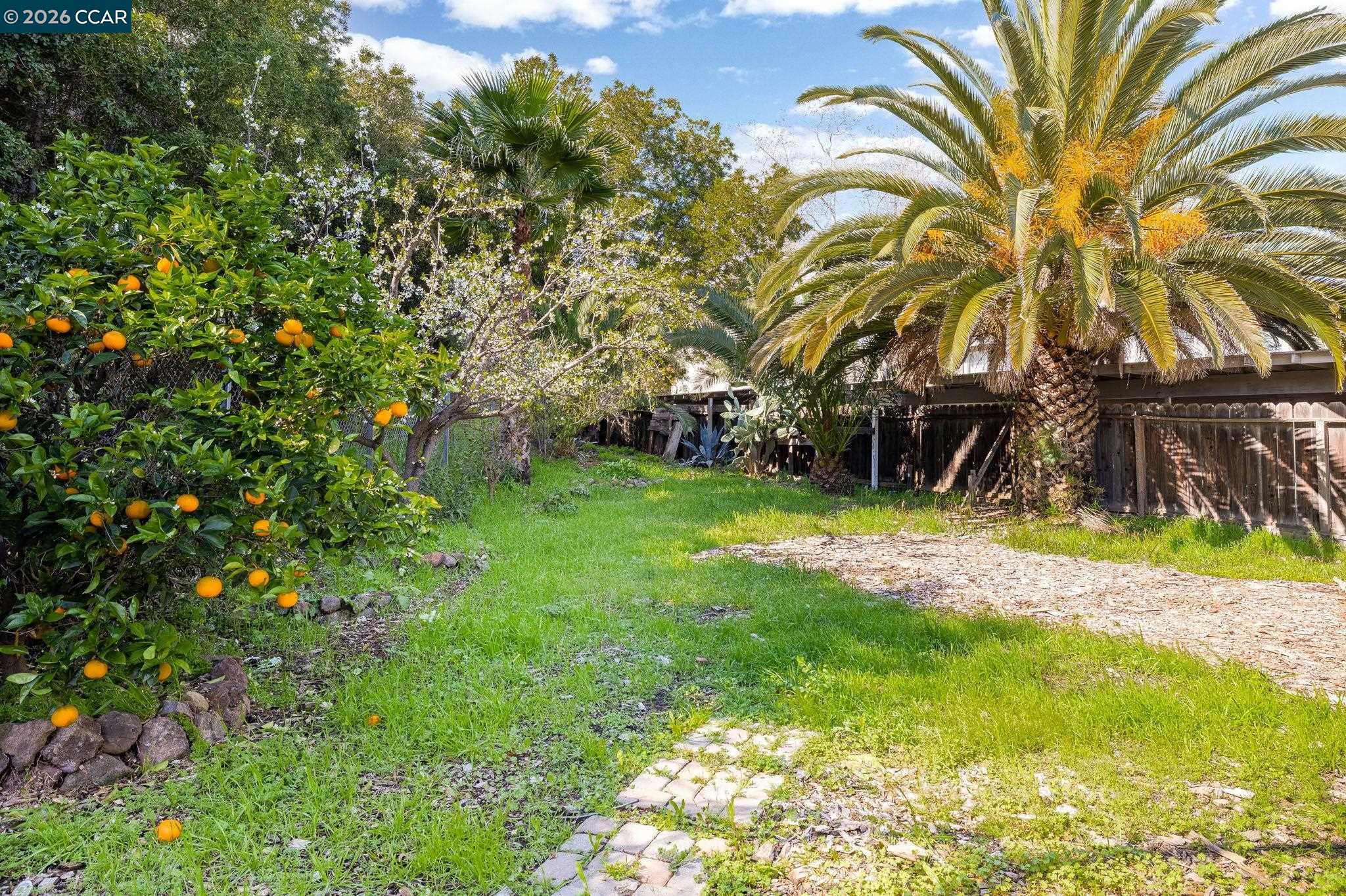 4820 Blum Road Martinez, CA 94553 - Photo 43 of 46 a view of a yard with plants and trees