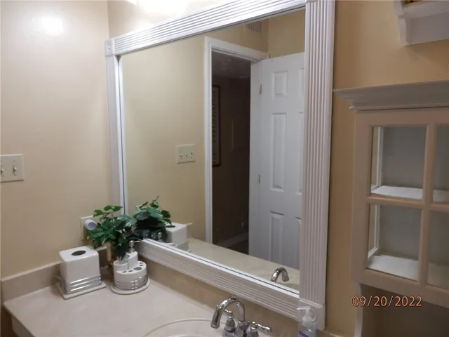 a bathroom with a potted plant
