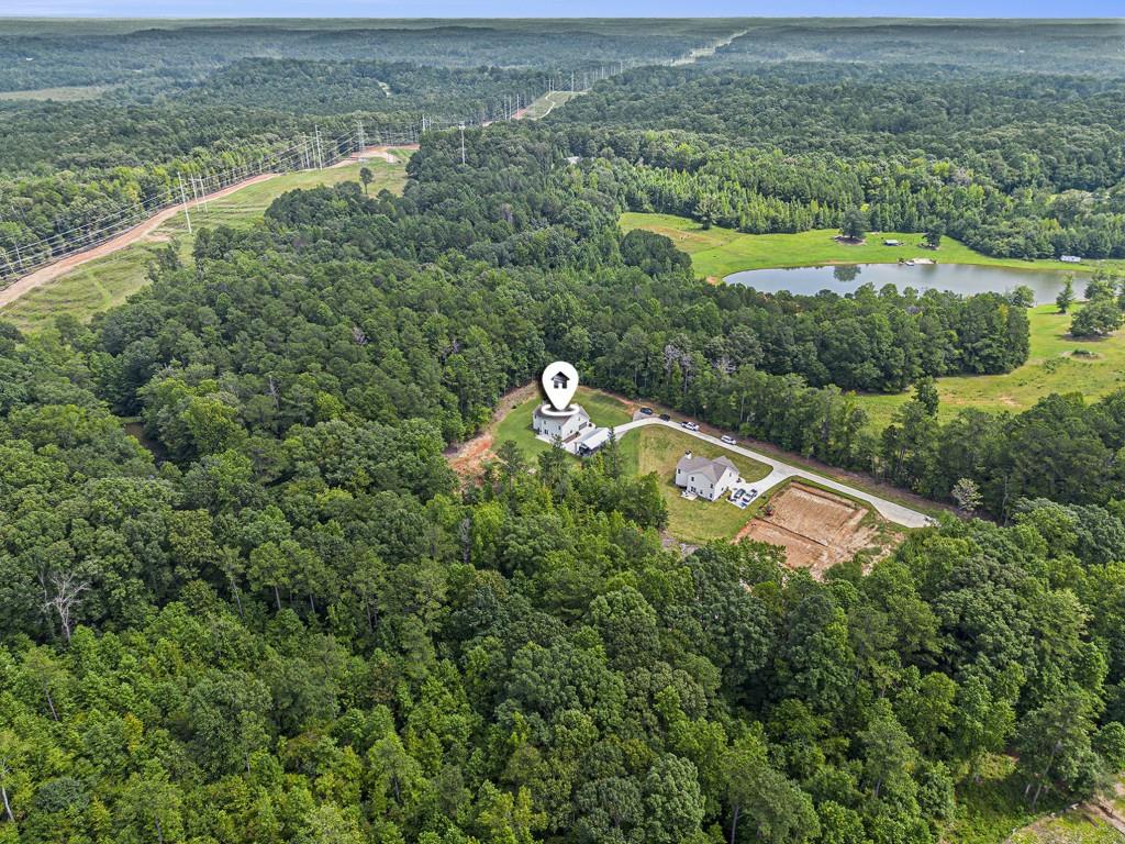 124 Willington Way Newnan, GA 30265 - Photo 36 of 41 an aerial view of a house with a yard and lake view
