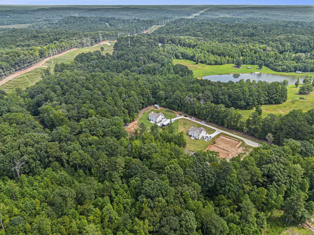 124 Willington Way Newnan, GA 30265 - Photo 39 of 41 an aerial view of a house with a yard and lake view
