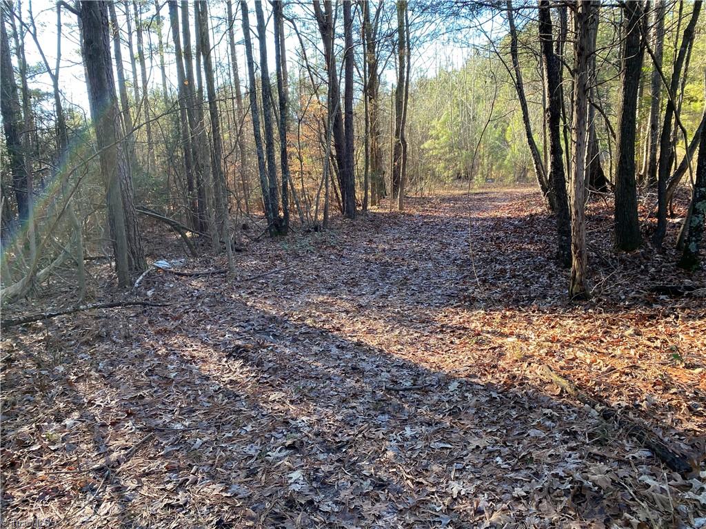 0 Tarry Church Road Star, NC 27356 - Photo 1 of 24