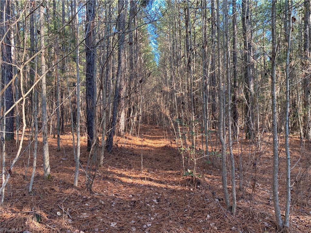 0 Tarry Church Road Star, NC 27356 - Photo 2 of 24
