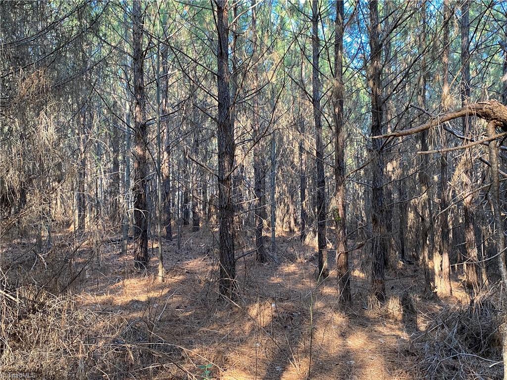 0 Tarry Church Road Star, NC 27356 - Photo 11 of 24