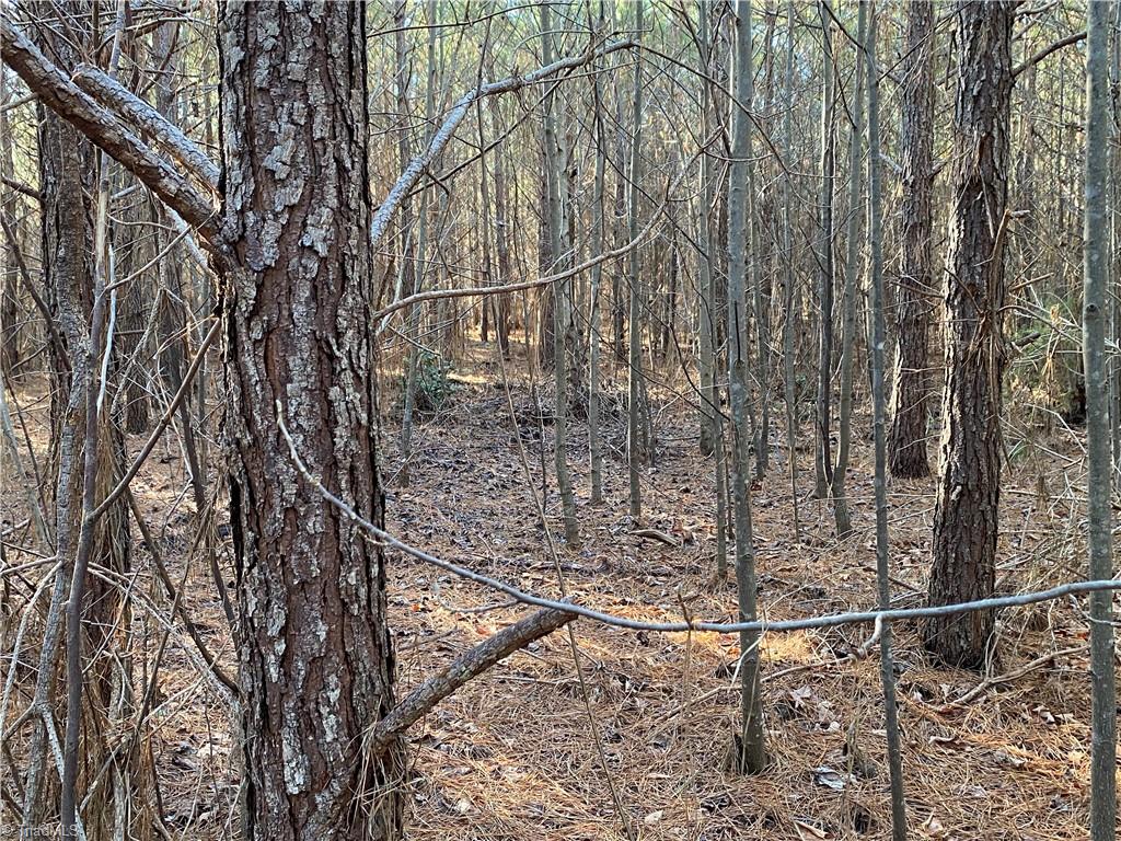 0 Tarry Church Road Star, NC 27356 - Photo 13 of 24