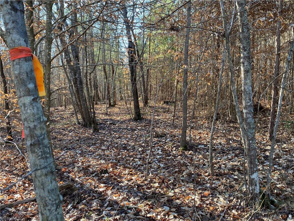 0 Tarry Church Road Star, NC 27356 - Photo 15 of 24