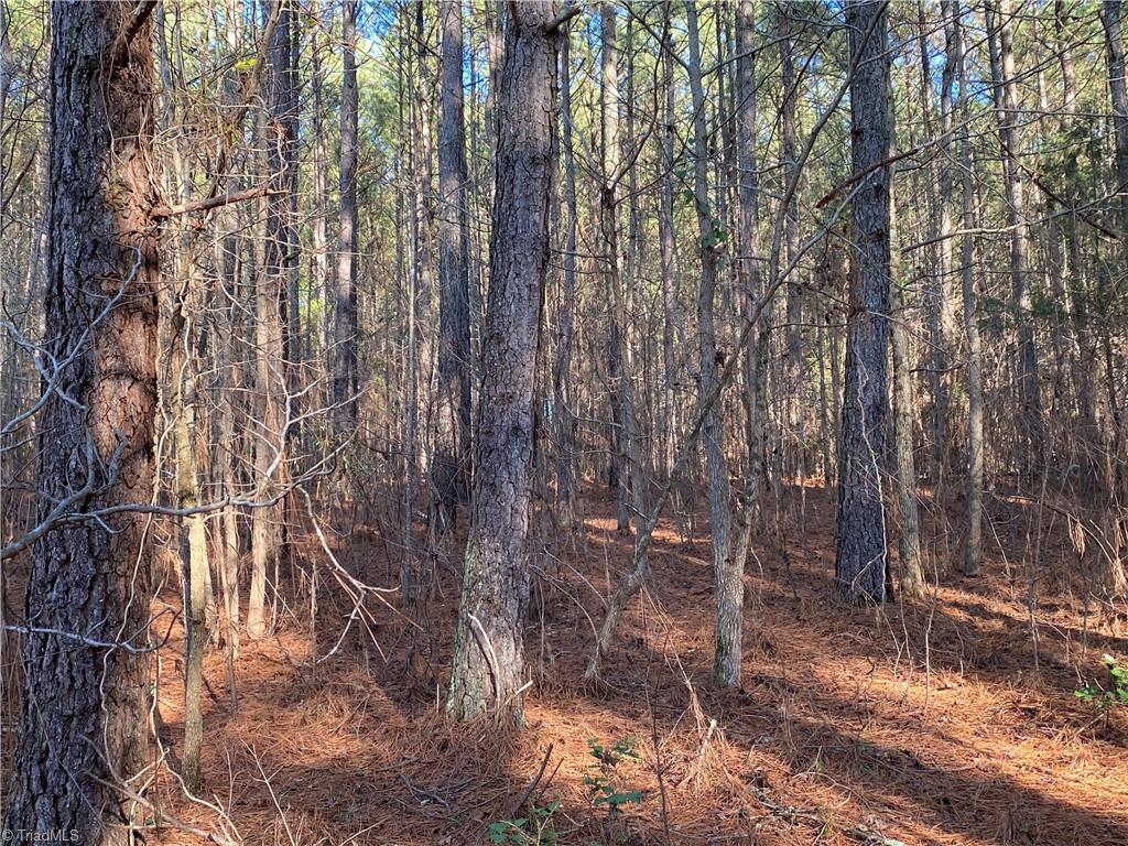 0 Tarry Church Road Star, NC 27356 - Photo 16 of 24