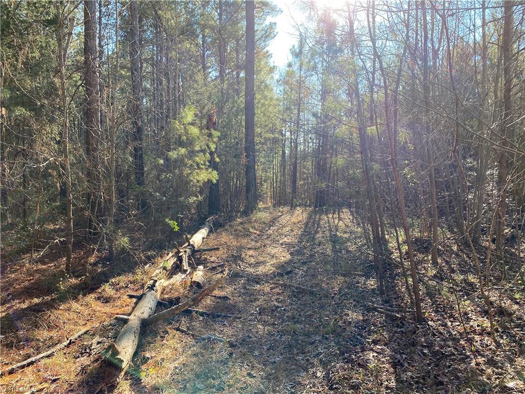 0 Tarry Church Road Star, NC 27356 - Photo 18 of 24