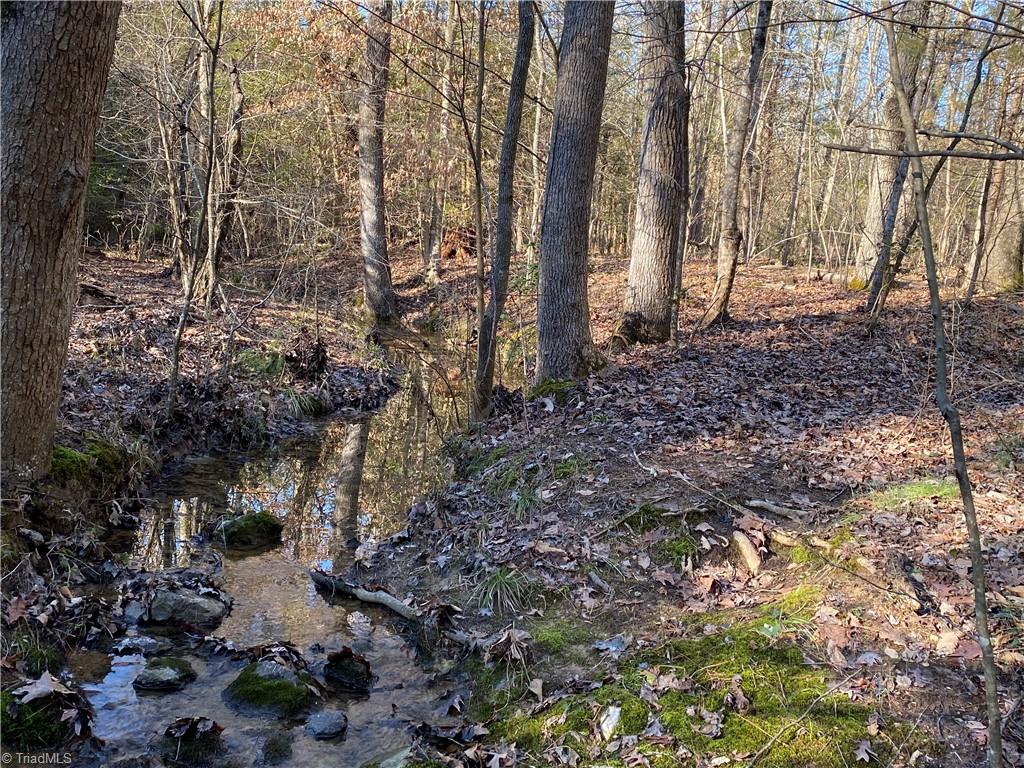 0 Tarry Church Road Star, NC 27356 - Photo 19 of 24