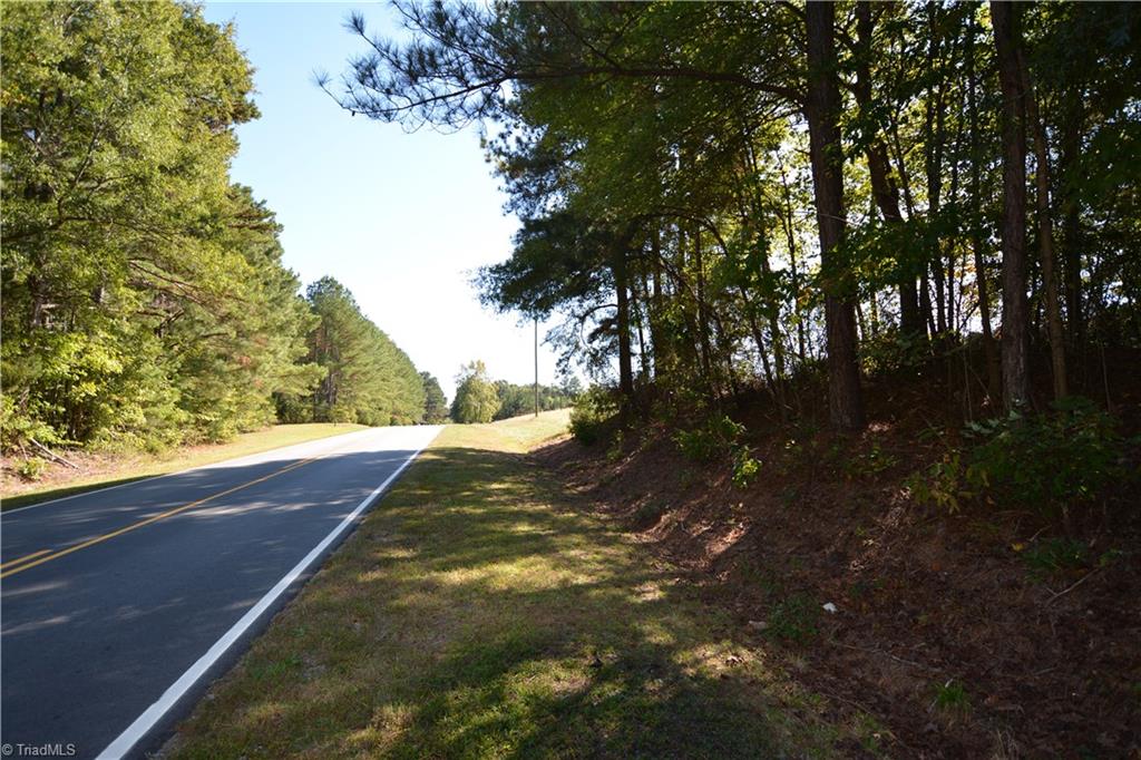0 Tarry Church Road Star, NC 27356 - Photo 20 of 24