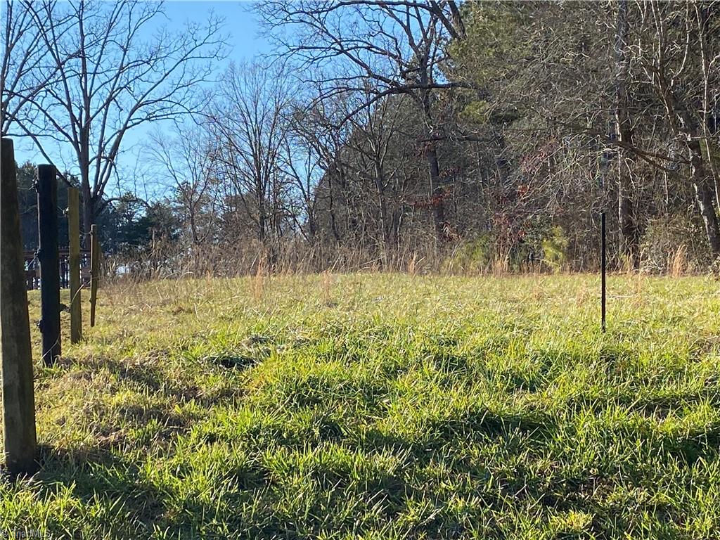 0 Tarry Church Road Star, NC 27356 - Photo 21 of 24