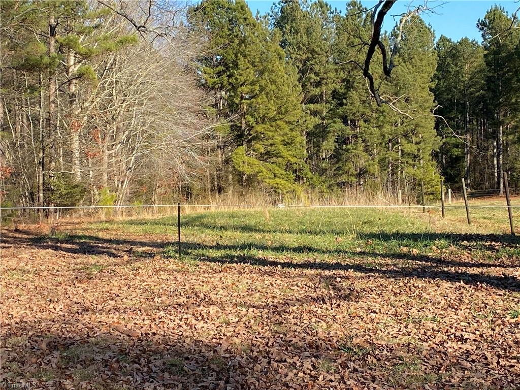 0 Tarry Church Road Star, NC 27356 - Photo 22 of 24