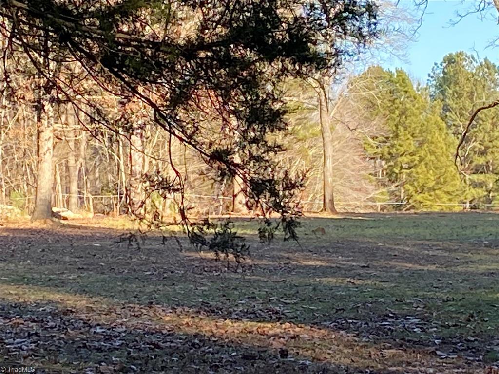 0 Tarry Church Road Star, NC 27356 - Photo 23 of 24