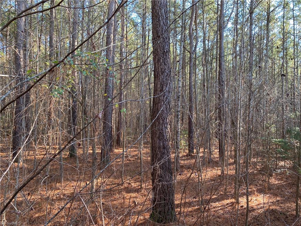 0 Tarry Church Road Star, NC 27356 - Photo 4 of 24