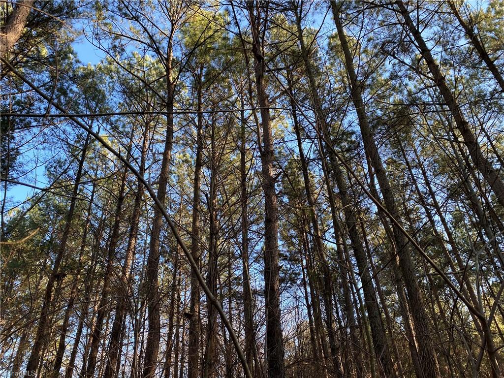 0 Tarry Church Road Star, NC 27356 - Photo 5 of 24