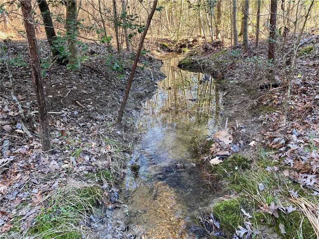 0 Tarry Church Road Star, NC 27356 - Photo 6 of 24