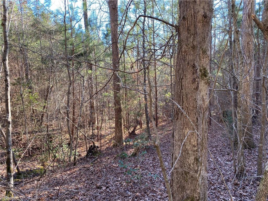 0 Tarry Church Road Star, NC 27356 - Photo 7 of 24