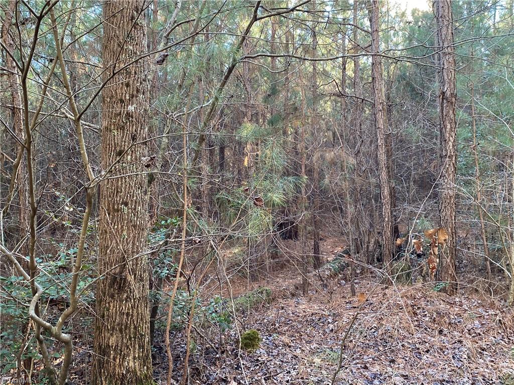 0 Tarry Church Road Star, NC 27356 - Photo 8 of 24