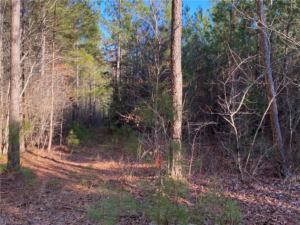 0 Tarry Church Road Star, NC 27356 - Photo 9 of 24