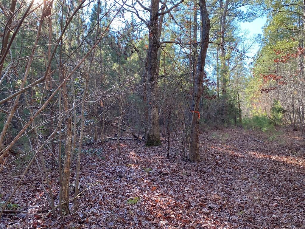0 Tarry Church Road Star, NC 27356 - Photo 10 of 24