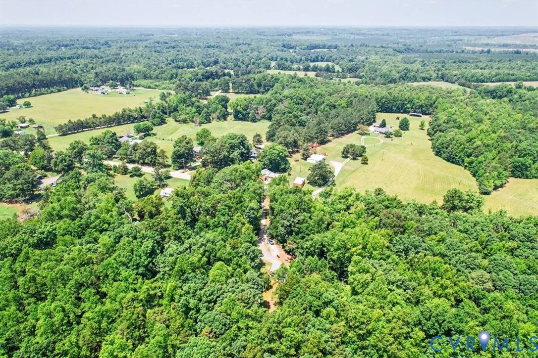 62 The Fls Road Victoria, VA 23974 - Photo 36 of 36 Expansive wooded landscape with scattered clearing