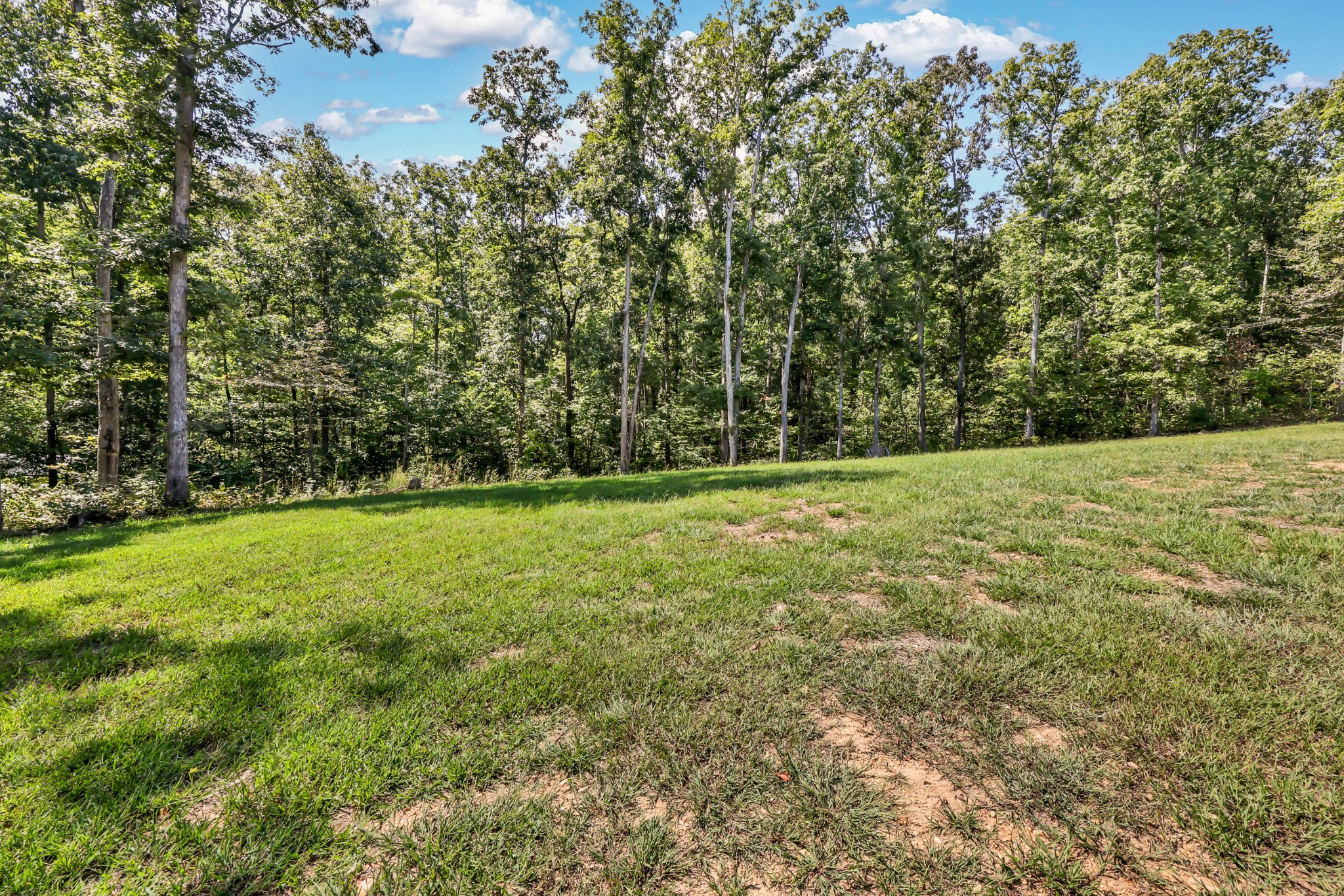 733 Mitchell Road Erin, TN 37061 - Photo 34 of 38 Gallery Image 34