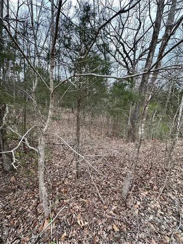 $11,000 | 2023 Lakeshore Drive, Cuba, MO 65453