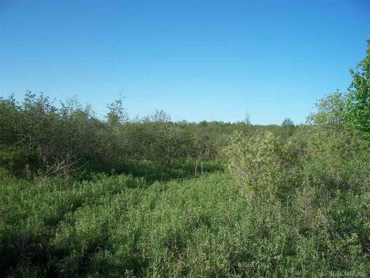 Tbd Mortimer Line Croswell, MI 48422 - Photo 4 of 6