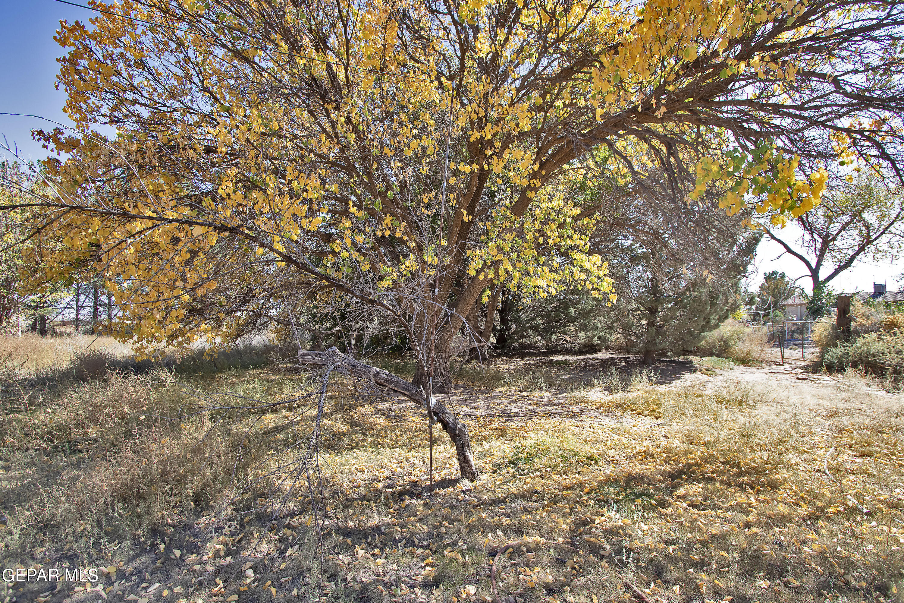 110 Southwest Creosote Road Deming, OUT OF SERVICE AREA 88030 - Photo 84 of 101 Backyard