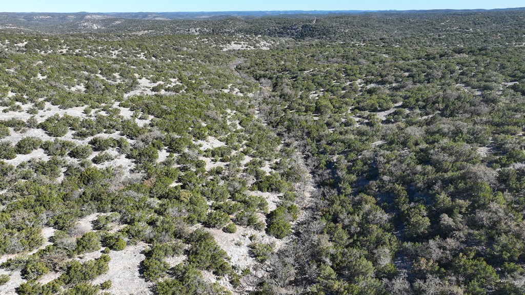 1467 Other Rocksprings, TX 78880 - Photo 2 of 8