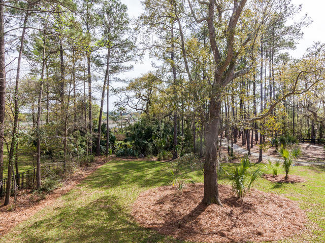 2789 Parkers Landing Road Mount Pleasant, SC 29466 - Photo 33 of 45 Backyard