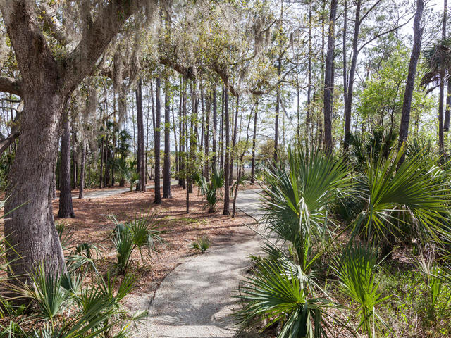 2789 Parkers Landing Road Mount Pleasant, SC 29466 - Photo 38 of 45 path