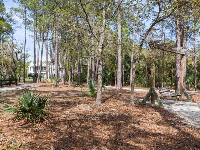 2789 Parkers Landing Road Mount Pleasant, SC 29466 - Photo 39 of 45 park 3