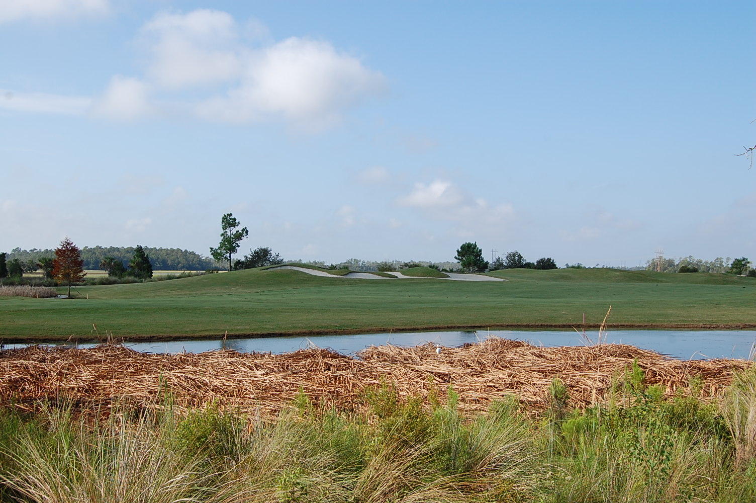 2789 Parkers Landing Road Mount Pleasant, SC 29466 - Photo 43 of 45 golf course