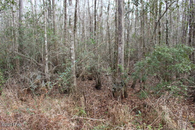 1957 Field Bay Road Caryville, FL 32427 - Photo 10 of 18 Gallery Image 10