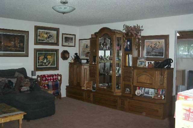 13900 West Howardsville Road Lena, IL 61048 - Photo 5 of 9 a living room with furniture and wooden floor
