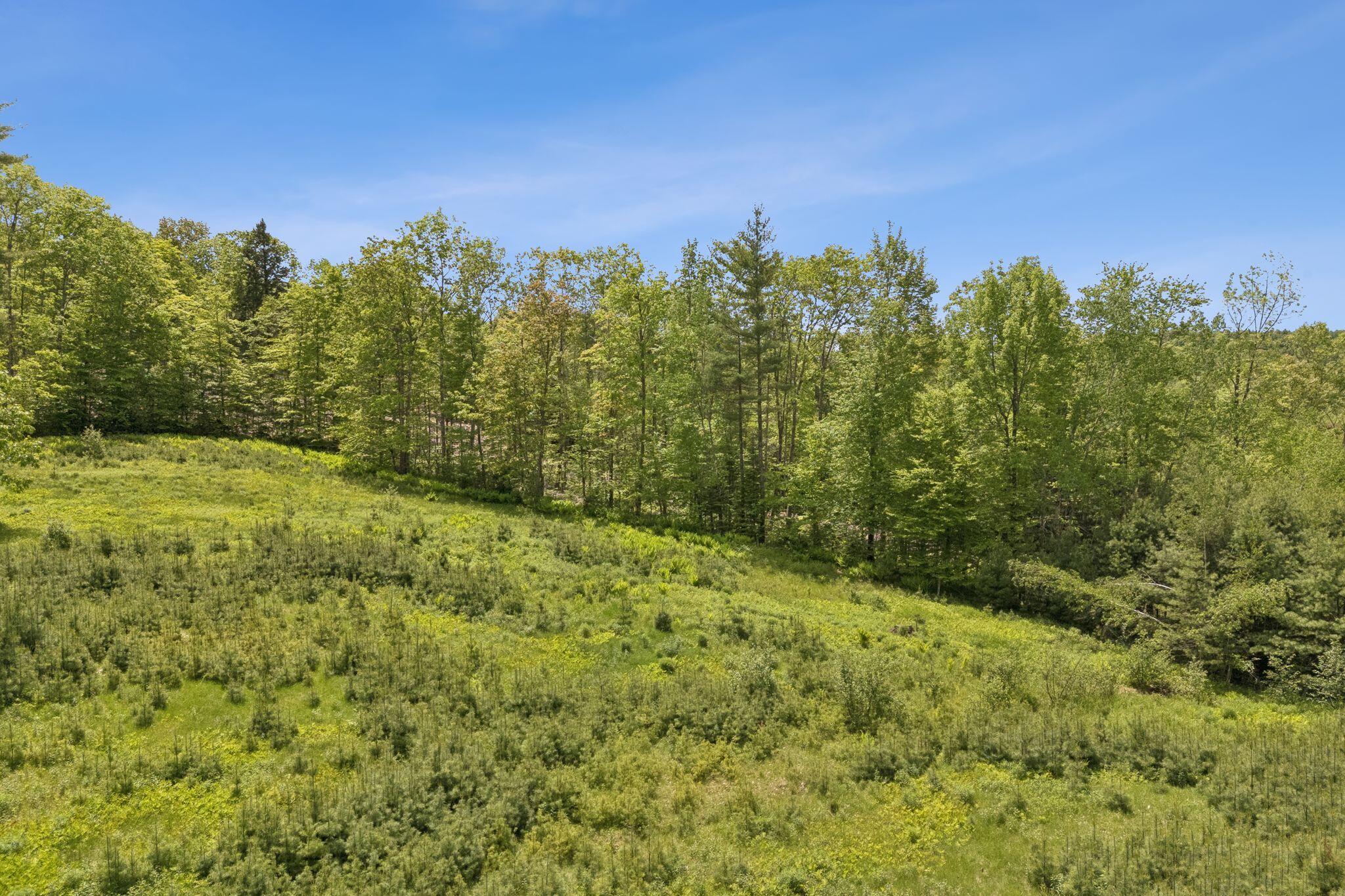 248 Morse Road Norway, ME 04268 - Photo 17 of 123 new21