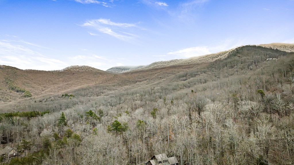 2538 Hunter Road Hiawassee, GA 30546 - Photo 55 of 62 Gallery Image 55