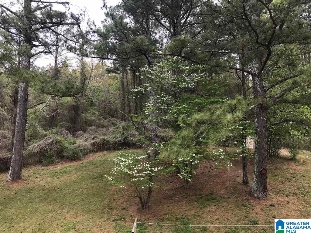 1127 Cedar Springs Road Weaver, AL 36277 - Photo 48 of 48
