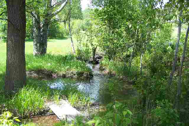 990 Dennis Road Ione, WA 99139 - Photo 9 of 9