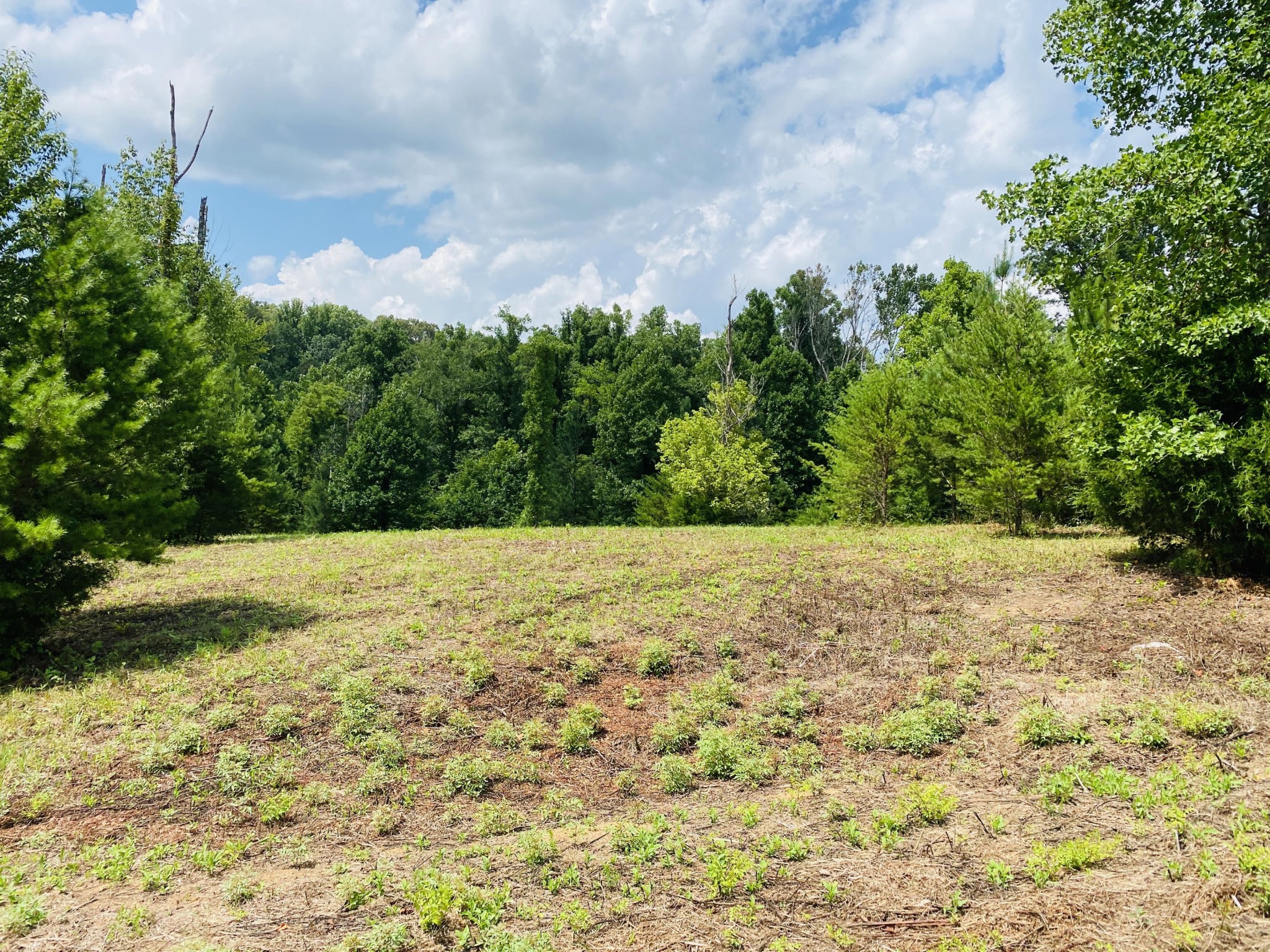 0 Powdermill Drive Tellico Plains, TN 37385 - Photo 1 of 15 Gallery Image 1