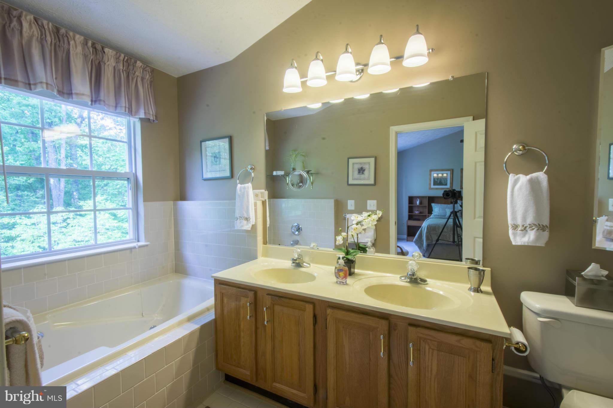 1272 Breckenridge Circle Riva, MD 21140 - Photo 19 of 30 Sunny Owners Bathroom