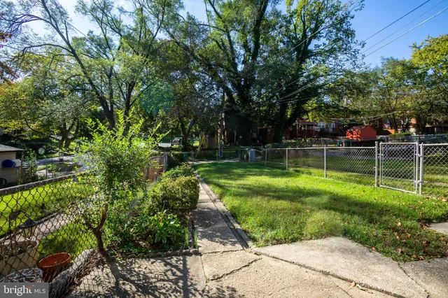 a view of a park with large trees