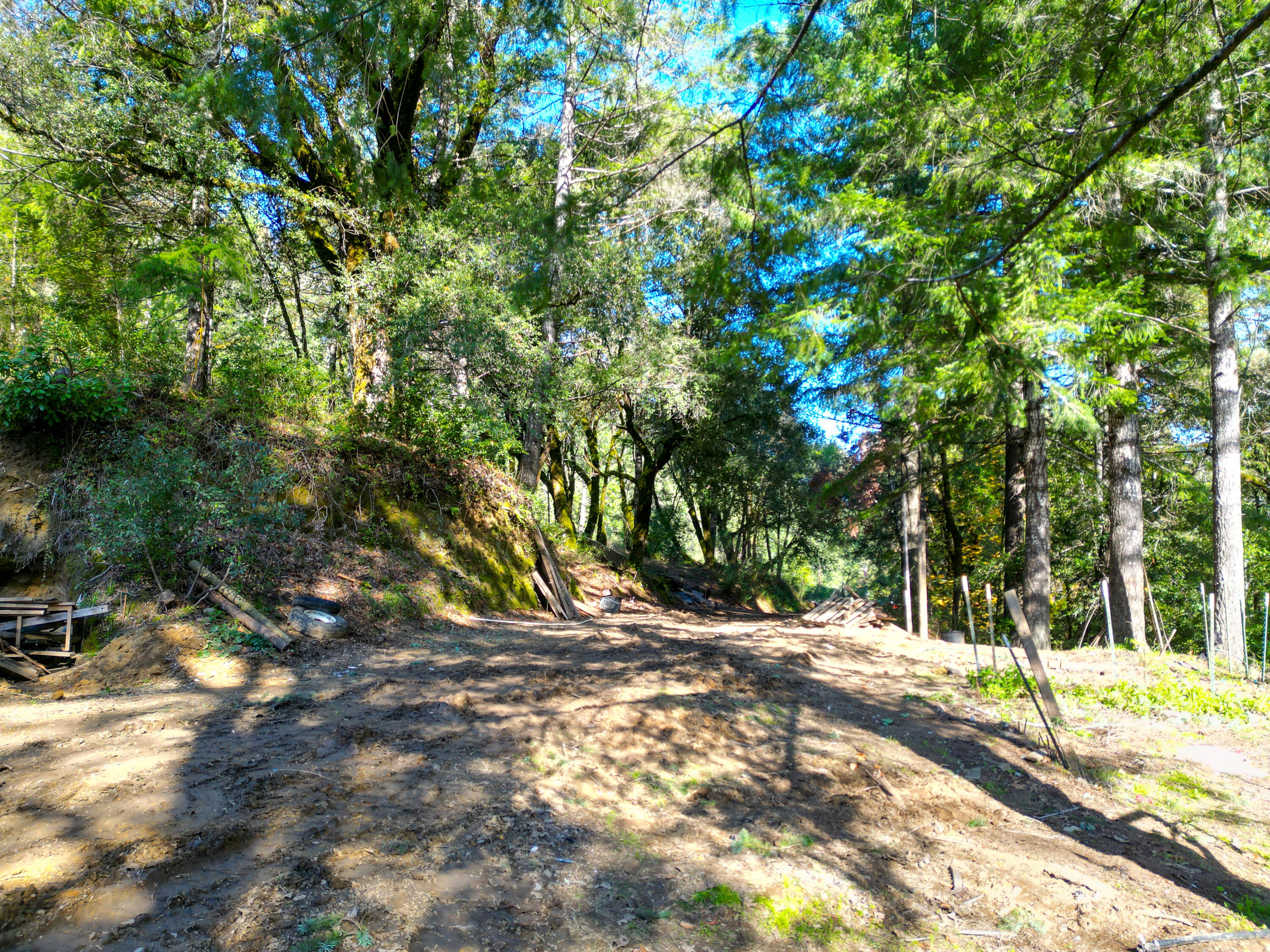 5200 Briceland Road Redway, CA 95560 - Photo 15 of 31