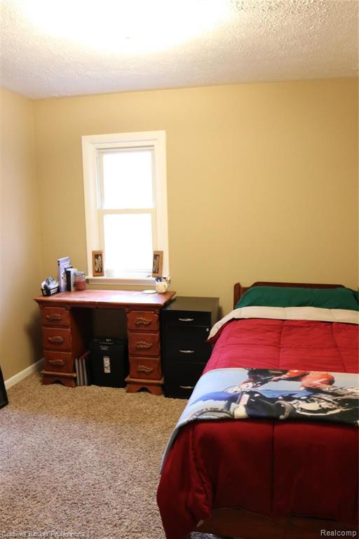 700 West Lansing Road Morrice, MI 48857 - Photo 20 of 28