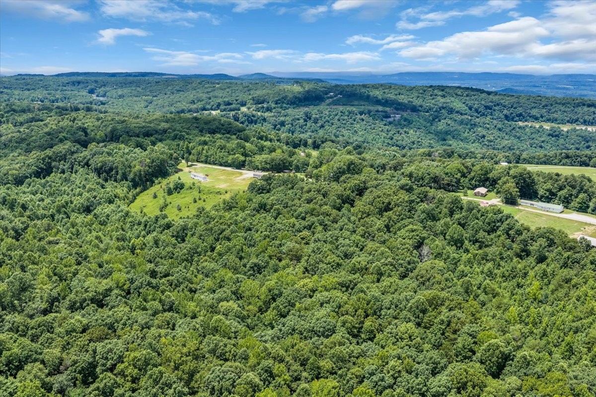 742 Captain Carter Road Spencer, TN 38585 - Photo 41 of 46
