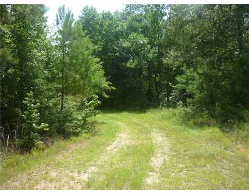 0 Brooks Road Hattiesburg, MS 39401 - Photo 1 of 6 Primary Photo