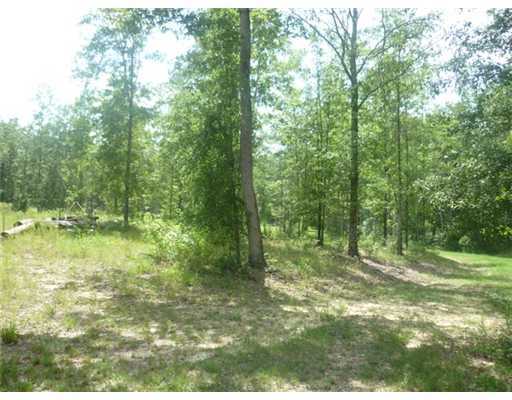 0 Brooks Road Hattiesburg, MS 39401 - Photo 2 of 6 Additional Photo