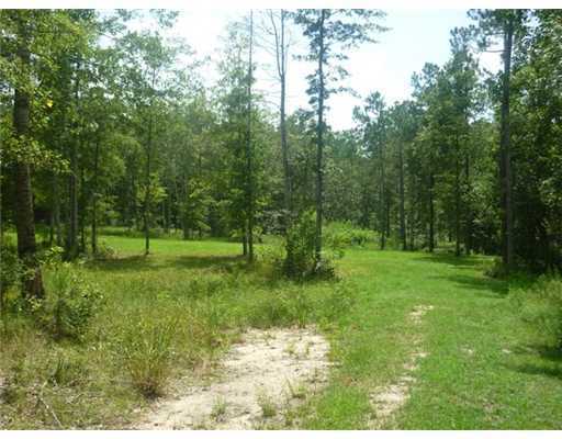 0 Brooks Road Hattiesburg, MS 39401 - Photo 3 of 6 Additional Photo