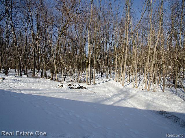 7555 Rattalee Lake Road Clarkston, MI 48348 - Photo 39 of 41 3+ acres of wooded enjoyment, long private driveway.