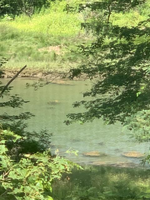 6 Perkins Road, Unit 2 Bristol, ME 04554 - Photo 4 of 17 IMG_6363